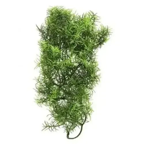 Zoo Med Casuarina Bush Plant Medium - Talis Us