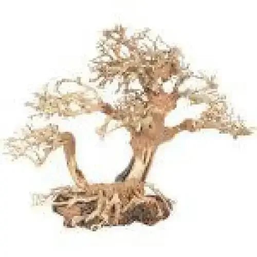 Zoo Med Dragon Bonsai Tree Aquarium Decoration - Talis Us