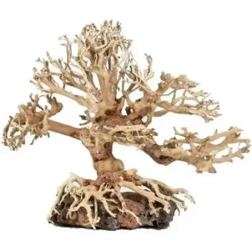 Zoo Med Dragon Bonsai Tree Aquarium Decoration Zoo Med Laboratories