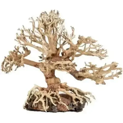 Zoo Med Dragon Bonsai Tree Aquarium Decoration Zoo Med Laboratories
