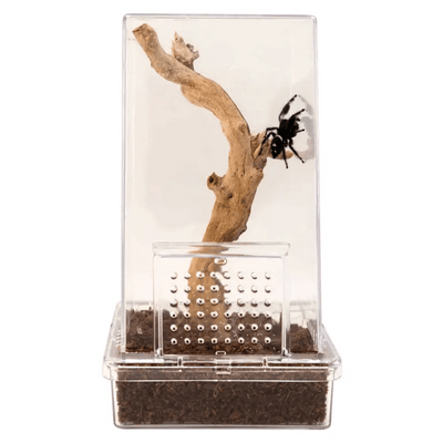 Zoo Med Laboratories jumping spider habitat kit with wood feature for creating a natural environment