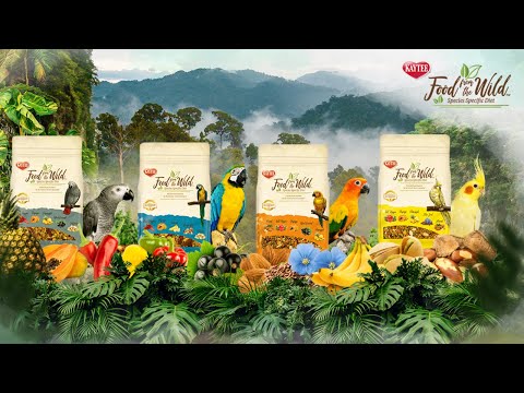 Kaytee Food from the Wild Pet Bird
